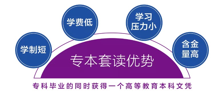 專本套讀優勢